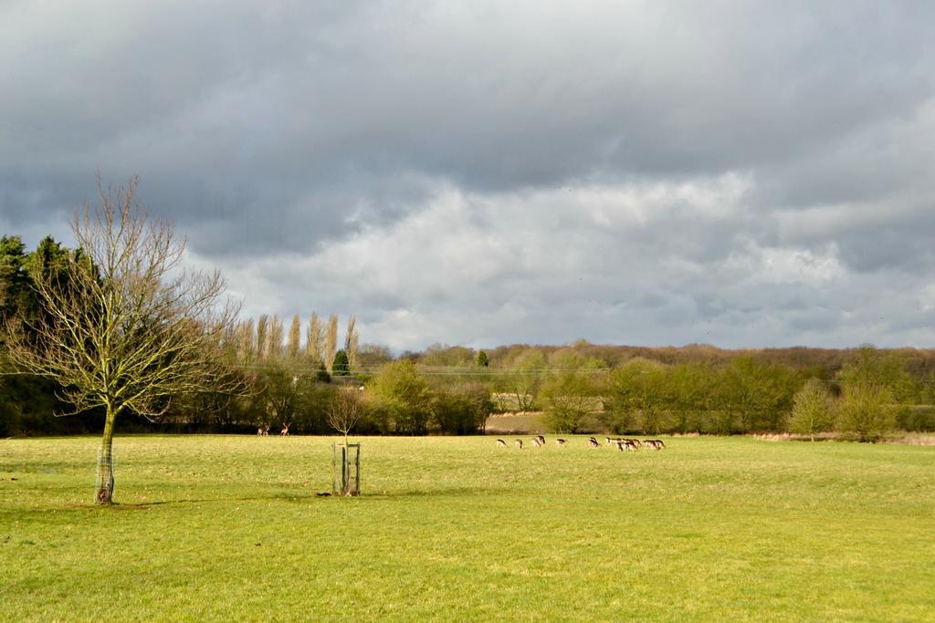 Bed & Breakfast Little Bullocks Farm 4*